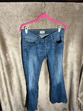 BKE Blue Flared Women's Jeans